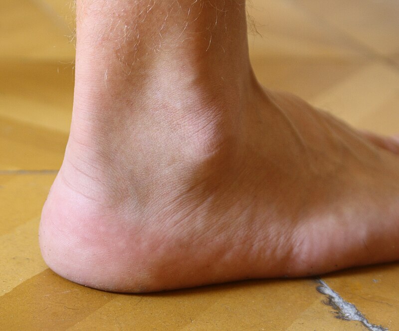 CrossFit  Movement About Joints, Part 7: The Ankle