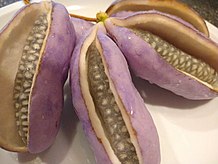 Ripe flesh of Akebia quinata fruit grown in Washington State Aquinataflesh.jpg