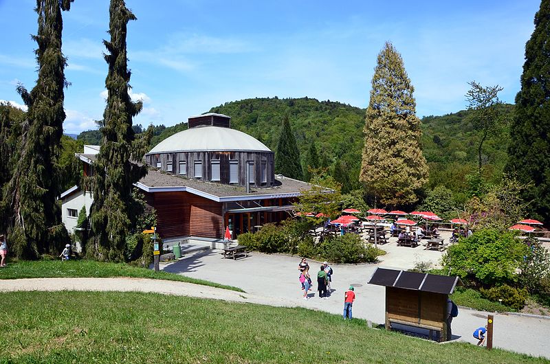 File:Arbr'espace arboretum du vallon de l'Aubonne.JPG