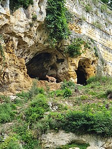 Karsthöhlen im Angoumien unterhalb vom Schloss Aucors.