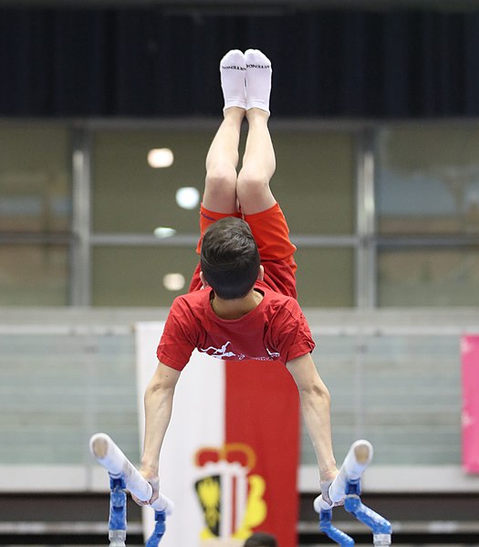 File:Austrian Future Cup 2018-11-23 Training Afternoon Parallel bars (Martin Rulsch) 0353.jpg