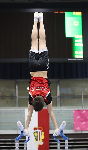 File:Austrian Future Cup 2018-11-23 Training Afternoon Parallel bars (Martin Rulsch) 0775.jpg