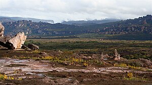 The bizarre high plateau of the Auyan-Tepui