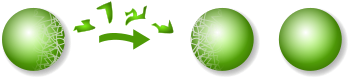 An illustration of the Banach-Tarski paradox, a famous result in pure mathematics. Although it is proven that it is possible to convert one sphere into two using nothing but cuts and rotations, the transformation involves objects that cannot exist in the physical world. Banach-Tarski Paradox.svg