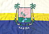 Vlajka Várzea, Rio Grande do Norte