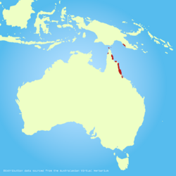 Barringtonia-calyptrata-distribution-map.png