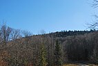 Barton Knob - View from North.jpg