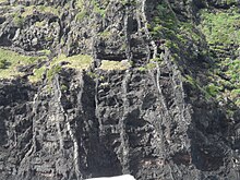 Basalt dikes on the eastern cliffs BasaltDykes LordHoweIsland 7June2011.jpg