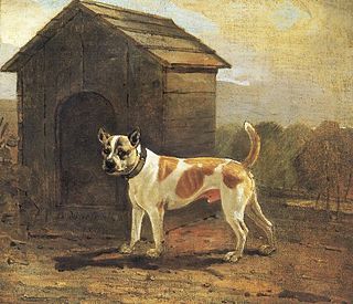 <span class="mw-page-title-main">Doghouse</span>