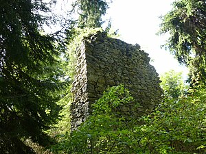 The remains of the keep of the Luegg castle ruins near Semriach