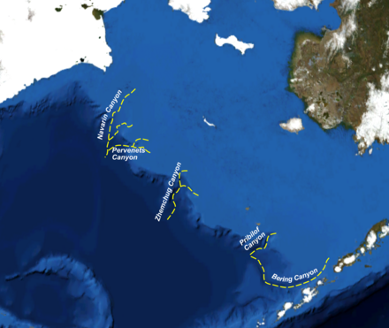 Bering Sea showing the larger of the submarine canyons that cut the margin