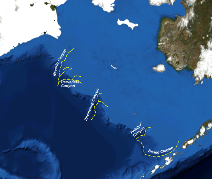 Screen capture from NASA WorldWind software of margin of the Bering Sea with the larger submarine canyons highlighted