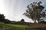 Billy Goat Hill, San Francisco