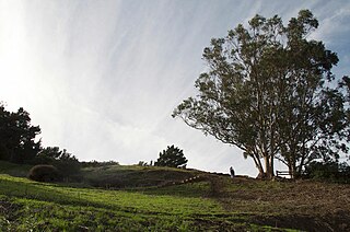<span class="mw-page-title-main">Billy Goat Hill, San Francisco</span>
