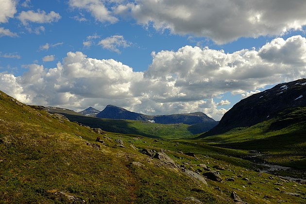 Junkerdal National Park is known for a varied flora. Some mountains and highlands have a large number of arctic-alpine species of plants. Several of the plant species are generally rare, such as the white Arctic mountain heather. Photograph: Frankemann