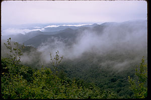 Blue Ridge Parkway BLRI9269.jpg