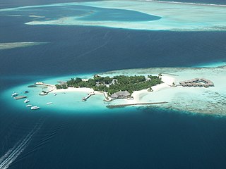 Fishing industry in the Maldives