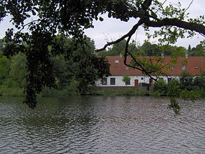 Brede: Villakvarter i Lyngby-Taarbæk Kommune