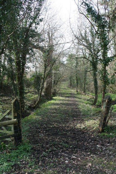 File:Bridle path - geograph.org.uk - 1210878.jpg