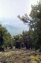 South slope of Fremont Peak, San Francisco Peaks, Arizona