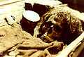 Mand begravet i en egetræskiste fra Borum Eshøj, Borum, Danmark.