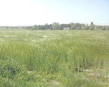 A view of a field in Lurganure townland