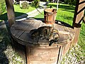 Bucharest, Romania. Traditional water fountain with cat (Detail) DSCN8616.jpg