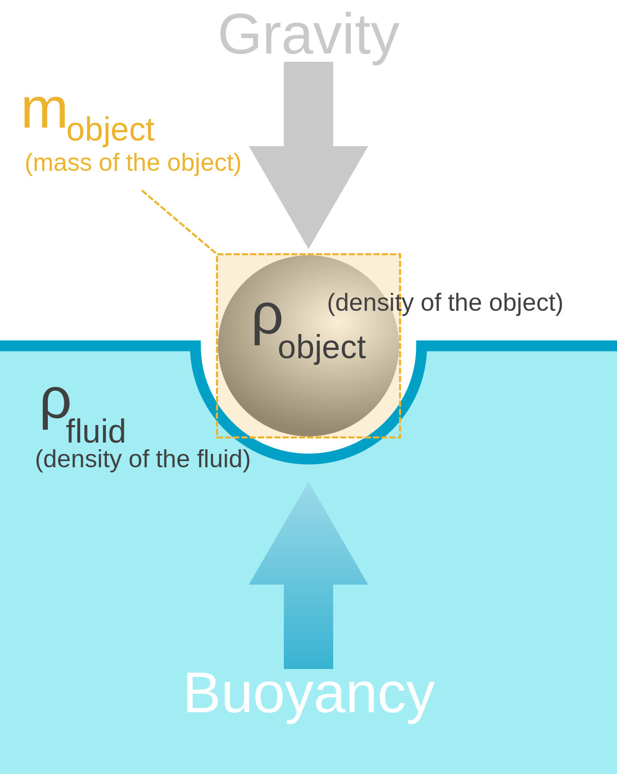 buoyancy - wikipedia