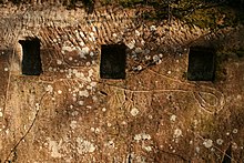 The dragon inscribed on the wall of the old castle hall Burg Drachenfels Drache.jpg