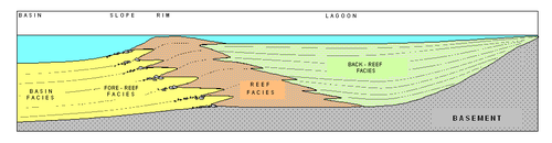 Generalized cross-section of a typical carbonate platform. CARBONATIC PLATFORM EN.PNG