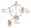 2011年3月23日 (三) 13:46版本的缩略图