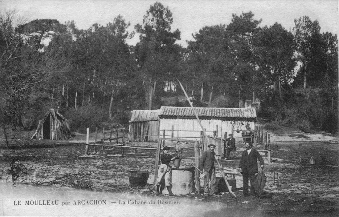 Cabane de résinier