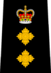 Calgary Police - Deputy Chief.png