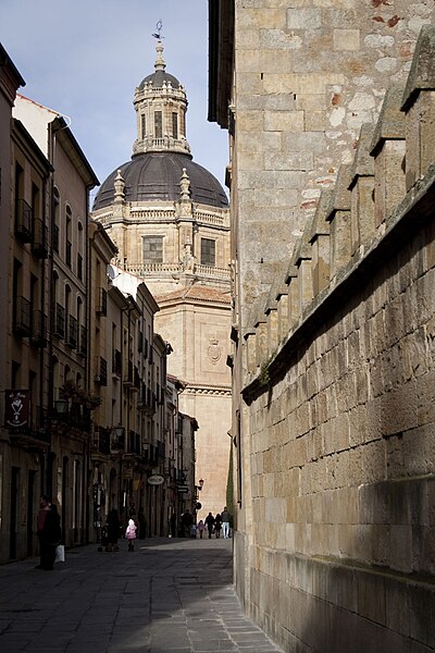 File:Calle de los libreros en Salamanca.jpg