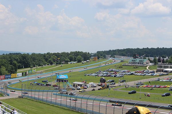 Cars drive through the Esses during the 2014 Sahlen's Six Hours of The Glen.