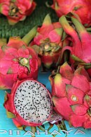 Mature fruits Caryophyllales - Hylocereus undatus - 3.jpg