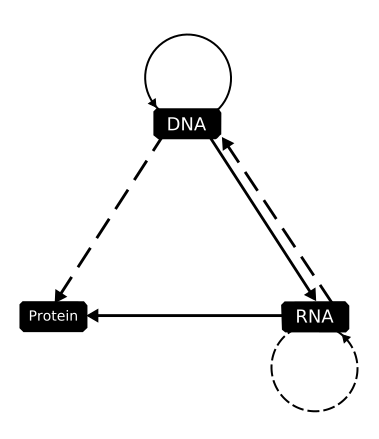 File:CentralDogma1970.svg