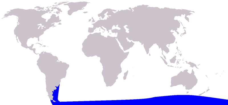 File:Cetacea range map Spectacled Porpoise.PNG