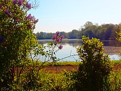 Etang de la Sillandais