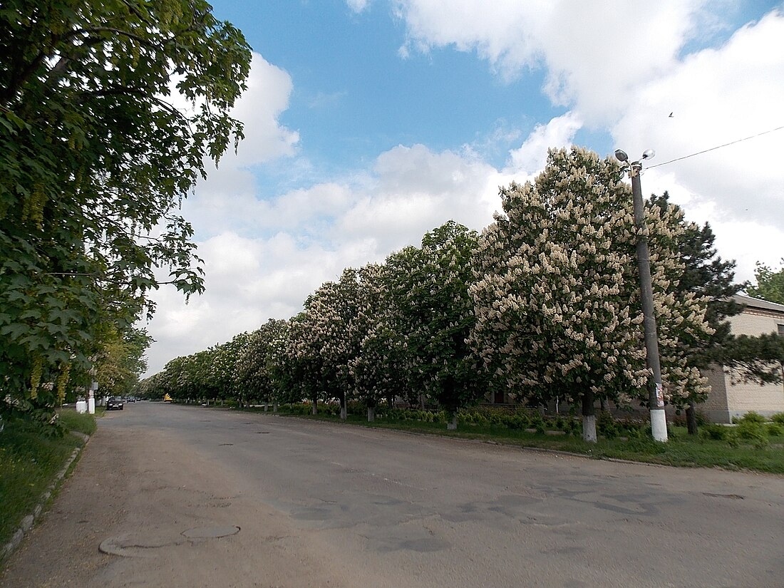 Чернігівка (Бердянський район)