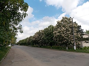 Центральна вулиця селища Чернігівки (весна 2017)