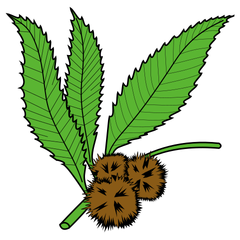 File:Chestnuts slipped and leaved.svg