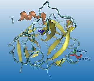 <span class="mw-page-title-main">Chymotrypsinogen</span>