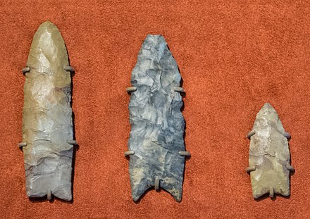 Clovis spearpoints collected in 1807 - Cleveland Museum of Natural History - 2014-12-26 (20426140553)