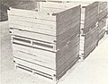 Cooling apples in pallet boxes (1962) (20504759230).jpg