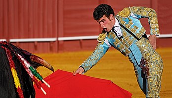 Passe de poitrine réalisée par un matador à la Maestranza de Séville, en 2013. (définition réelle 3 793 × 2 163)