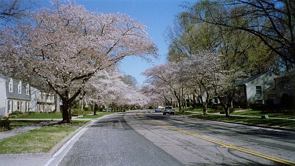 Crofton Parkway in Crofton in early March