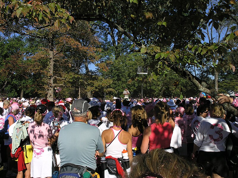 File:Crowd at 2007 Atlanta Breast Cancer 3-Day closing ceremony.JPG