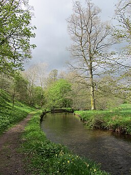 Crowdundle Beck at Acorn Bank - geograph.org.uk - 3487945