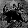 "Our First Grizzly, killed by Gen. Custer and Col. Ludlow.", 1874